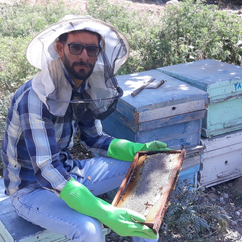عسل چهل گیاه  1000 گرمی زنبور دار