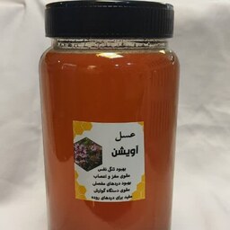 عسل طبیعی و دارویی آویشن 1000 گرمی مرغوب صافا  