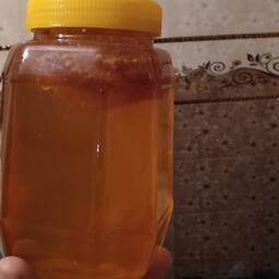 عسل گون  موم دار  صددرصد تضمینی عسل شولیز دنا یک کیلویی 