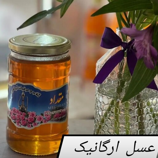 عسل بهاره ارگانیک درجه یک (یک کیلویی)