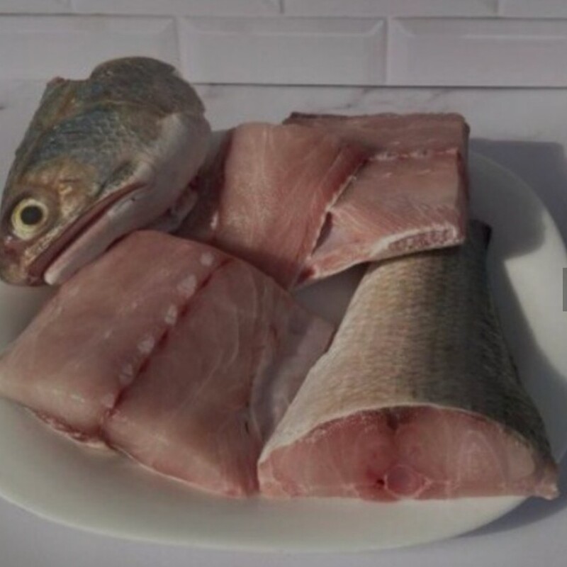 ماهی راشگو یا غزال دریا (ارسال رایگان )حداقل مقدار ارسال رایگان 5 کیلو گرم.
حداقل سفارش محصول 3 کیلو.