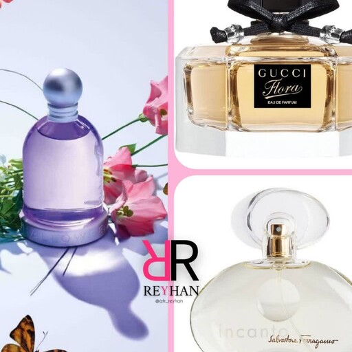  عطر پک اقتصادی زنانه 18 گرم شامل  6 گرم هالووین  6 گرم گوچی فلورا  6 گرم اینکانتو 

 بسته اول  زنانه 