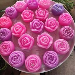 گل رز  با تنوع رنگ بندی بالا  مناسب برای گیفت ،هدیه