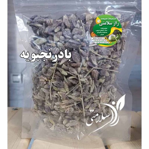 بادرنجبویه 20 گرم