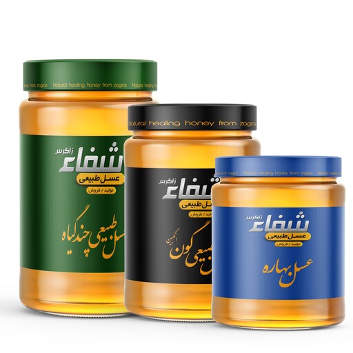 3کیلو عسل  شامل  1 کیلو عسل طبیعی منطقه زاگرس ، 1کیلو عسل طبیعی منطقه اصفهان ، 1 کیلو عسل  بهاره