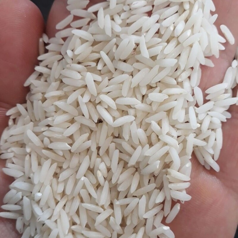 برنج هاشمی درجه یک. 