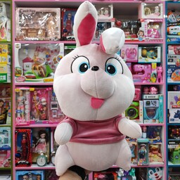 عروسک پولیشی خرگوش تپلی سوییرشت دار در دو رنگ خوشگل قبل از ثبت موجودی بگیرید 