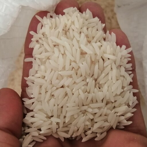 برنج هاشمی اعلا گیلان 10 کیلو گرمی محصول شالیزار شخصی چوکام 