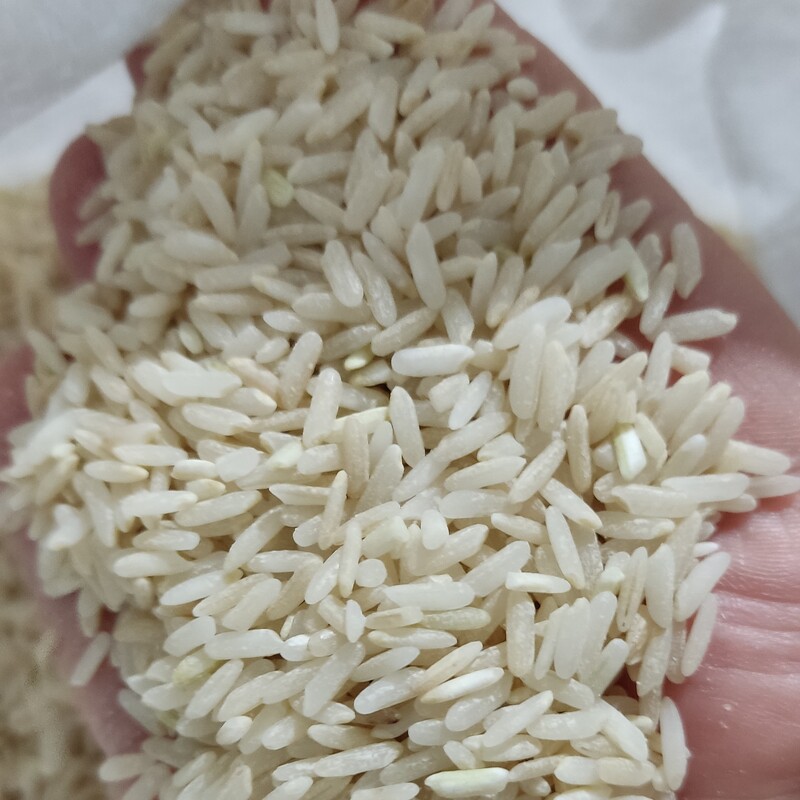 برنج قهوه ای یا رژیمی طارم ،برنج دسترنج در بسته های ده کیلویی