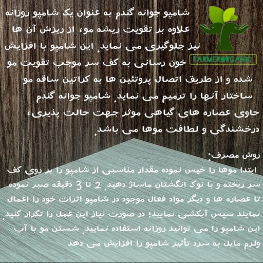 شامپو جوانه گندم گیاهی