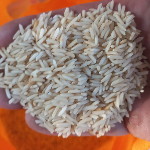 برنج دودی و هیزمی  شهرام  محصولات شمال و سورت شده بدون شکسته و  پر دود