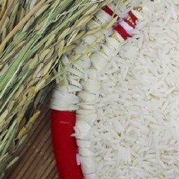 برنج هاشمی اعلاء  10 کیلویی