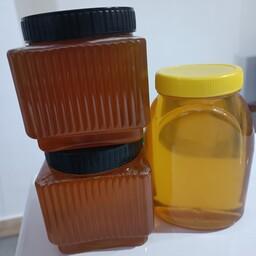 2 کیلو عسل کنار ( 1 کیلو عسل گون هدیه) و ارسال رایگان 