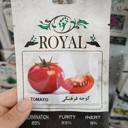 بذر گوجه فرنگی