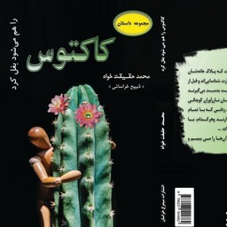 کتاب  رمان کاکتوس را هم می شود بغل کرد