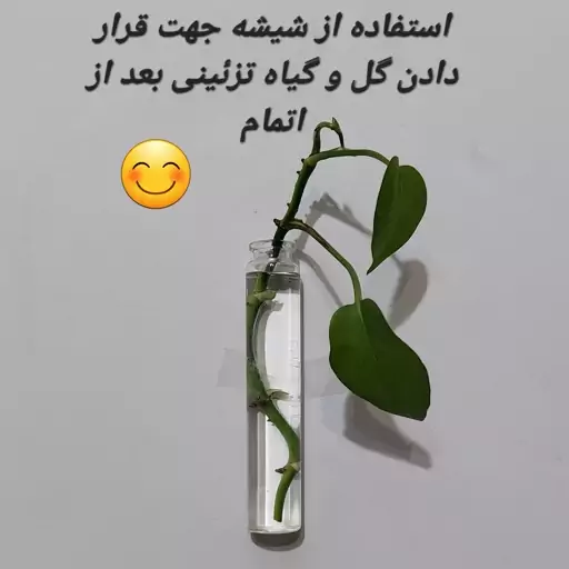 عطر ادکلن لالیک انکرنویر مردانه مهزیار (35 میل ماسیمودوتی)