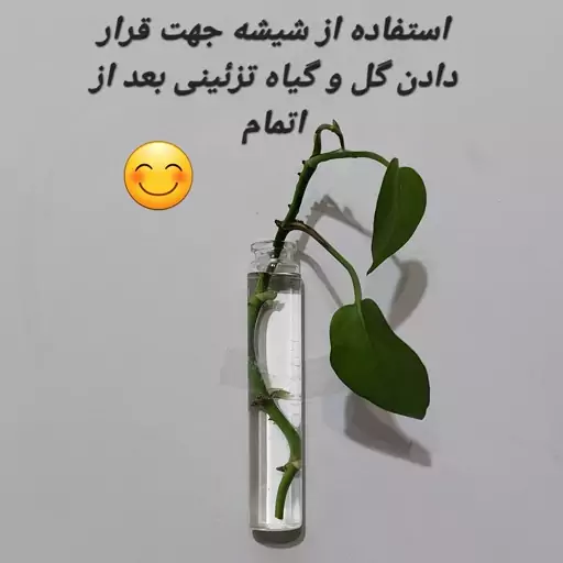 عطر ادکلن دیزل بد مردانه مهزیار (35 میل ماسیمودوتی)