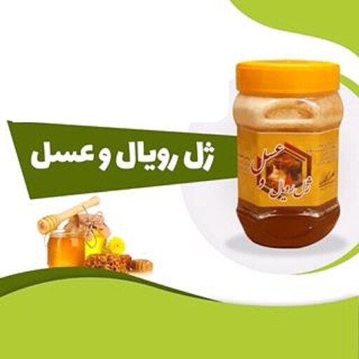 ژل رویال 30گرم ژل خالص با تقریبا نیم کیلو عسل