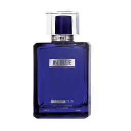 عطر  مردانه رودیر پلاس مدل In Blue حجم 100 میل 