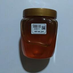 عسل چند گیـــاه-یک کیلوگرم