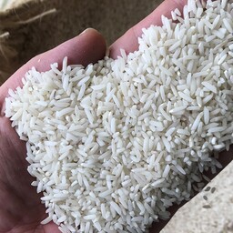 برنج سر لاشه درجه یک پخت عالی 10 کیلو گرمی