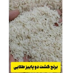 برنج کشت دو