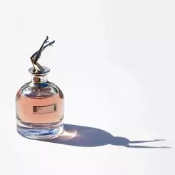 عطر ژان پل گوتیر اسکندل تستر اورجینال پلمپ سفارش مبدا  Jean paul gaultier scandal