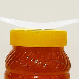 معجون ویژه (یک کیلو عسل طبیعی و 30 گرم ژل رویال اصل ایرانی)