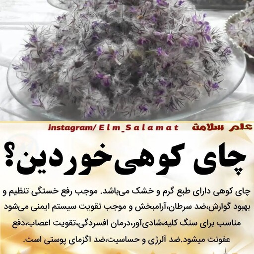 چای کوهی بام ایران ( 50 گرمی )