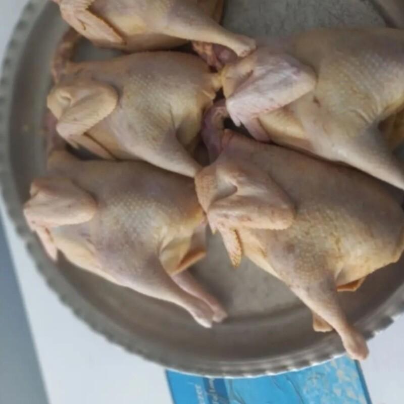 پک محصولات محلیجات  5 اردک محلی 3 مرغ محلی   ارسال با باکس یخ لطفا توضیحات مطالعه بفرمایید