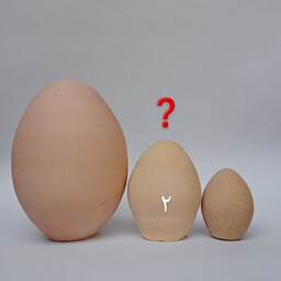 سفارش طرح 10 عددی تخم مرغ رنگی سایز (2)