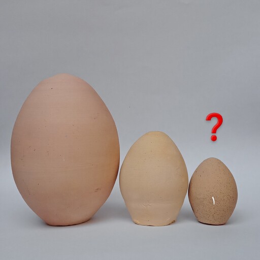 سفارش طرح 10 عددی تخم مرغ رنگی سایز  (1)