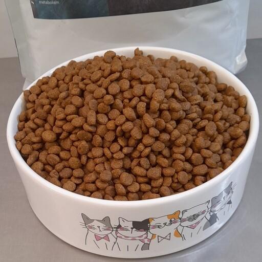غذا خشک مخصوص گربه عقیم مفید