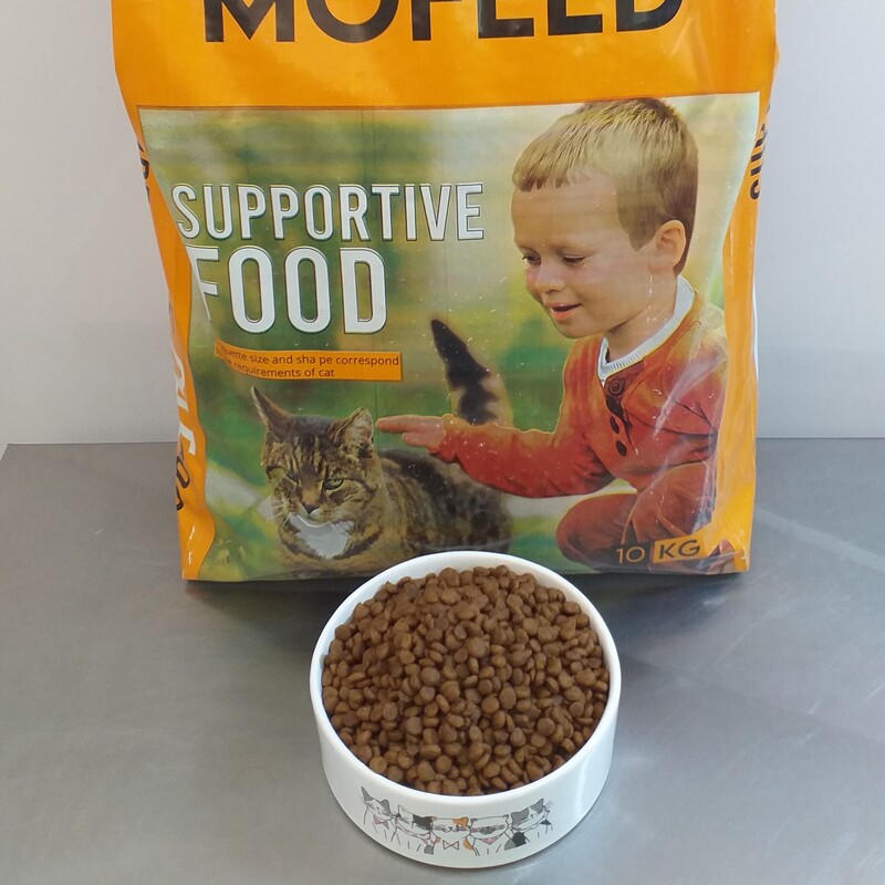 غذای خشک گربه مفید حمایتی 