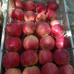 سرکه سیب خانگی تهیه شده از بهترین سیب با کیفیت عالی بدون افزودنی وطبیعی 