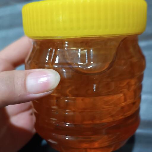 عسل صد در صد طبیعی (نیم کیلویی)