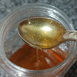 عسل صد در صد طبیعی (1 کیلویی)