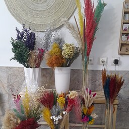 گل و گیاه خشک، تنوع رنگ، قیمت مناسب، ارتفاع مختلف