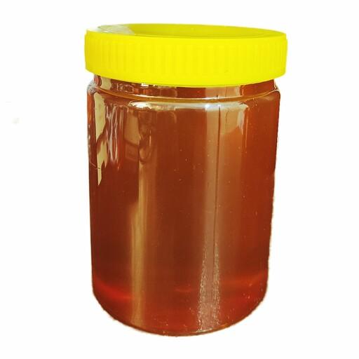 عسل گون طبیعی (یک کیلویی) ری را