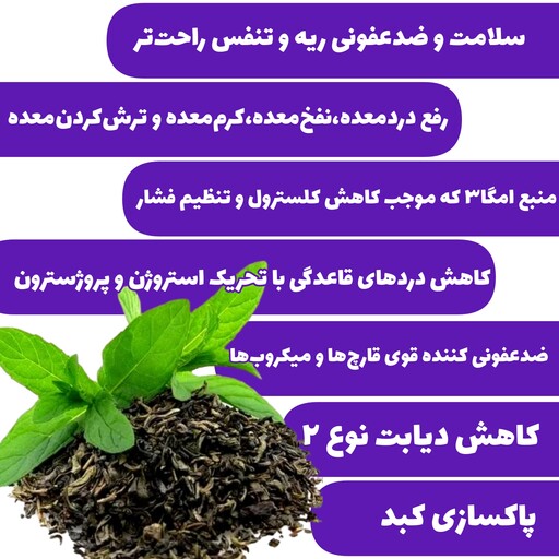 چای سبز  ایرانی لاهیجان با طعم پونه کوهی یا پونه وحشی و یا خنش 500 گرمی