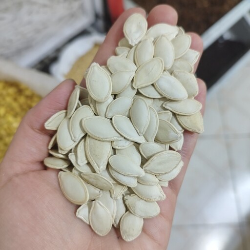 تخمه کدو خام گوشتی تازه ایرانی(100گرمی)