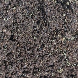 خاک کوکوپیت سریلانکا فله ای یک کیلو گرمی 
