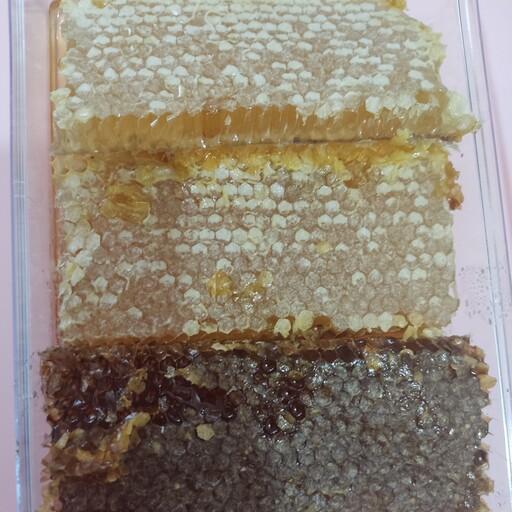 عسل طبیعی  درمانی کوهستان کاملا ارگانیک 1000گرمی
