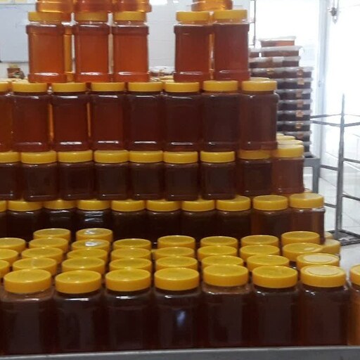 عسل طبیعی گون  1 کیلویی. برداشت امسال با بهترین عطر و کیفیت. با تاییدیه آزمایشگاه.ارسال رایگان.فروش بصورت  تکی و عمده