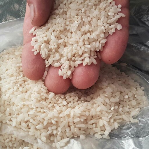 برنج  سوشی  ایرانی - برنج گِرده( زَرِک) مخصوص پخت شله زرد و انواع آش نذری- کته - 5کیلویی