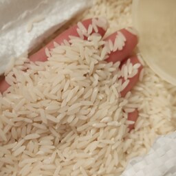 برنج درجه یک طارم خالص فریدونکنار از مزرعه پدری دو بار الک شده و اصلا ریز نداره