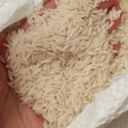 برنج طارم درجه یک فریدونکنار دوبار الک شده بدون ریز با پخت عالی تولید مزرعه پدری