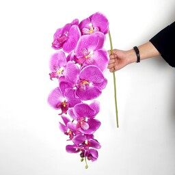 گل ارکیده مصنوعی یازده گل سلطنتی عالیجناب در ارتفاع 122 سانتیمتر 