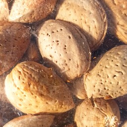 بادام سنگی درشت،خوش طعم تهیه شده از باغات شهر سیسخت