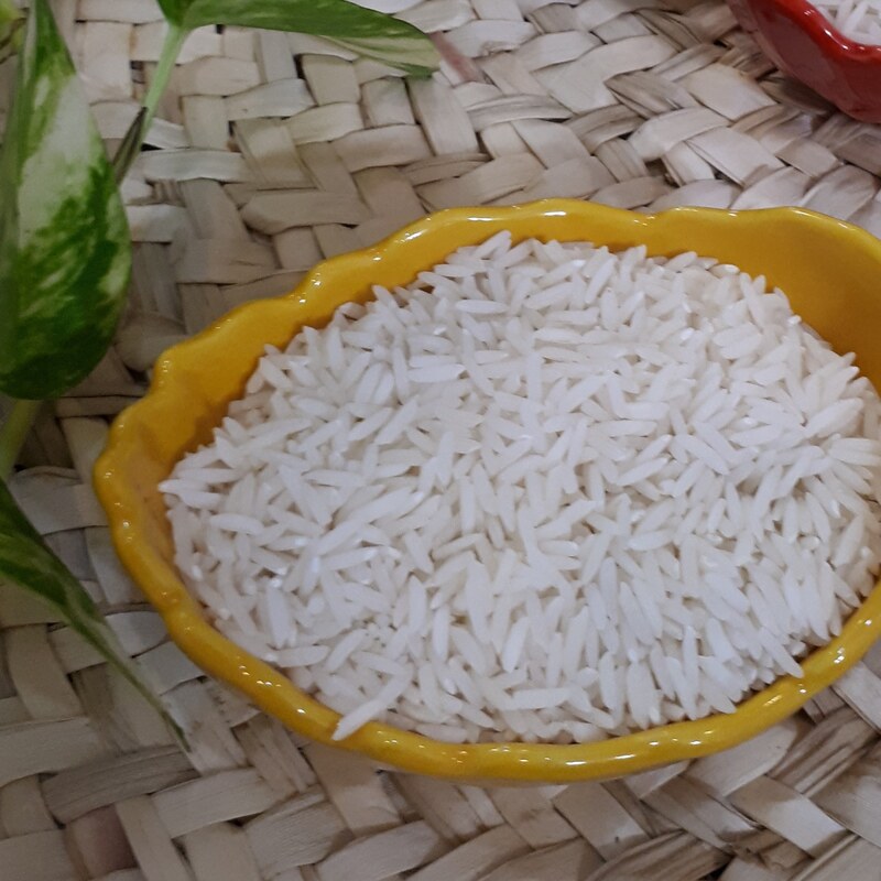 برنج صدری دمسیاه (کشت 1402) - 5 کیلویی